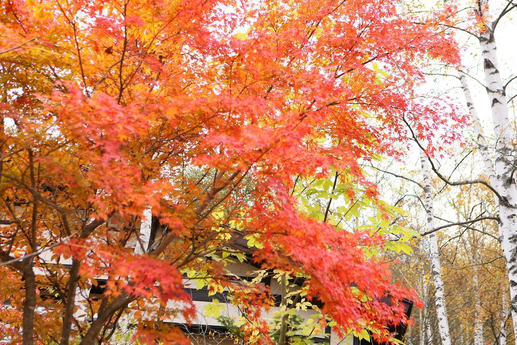 Konashi No Yu Sasaya Hotel Matsumoto Luaran gambar
